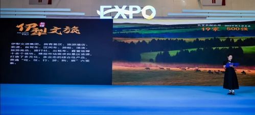 秋冬勝境 魅力伊犁 2024伊犁文旅推介活動(dòng)精彩亮相第六屆大運(yùn)河文化旅游博覽會(huì)